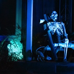 Porch skeleton and kitty